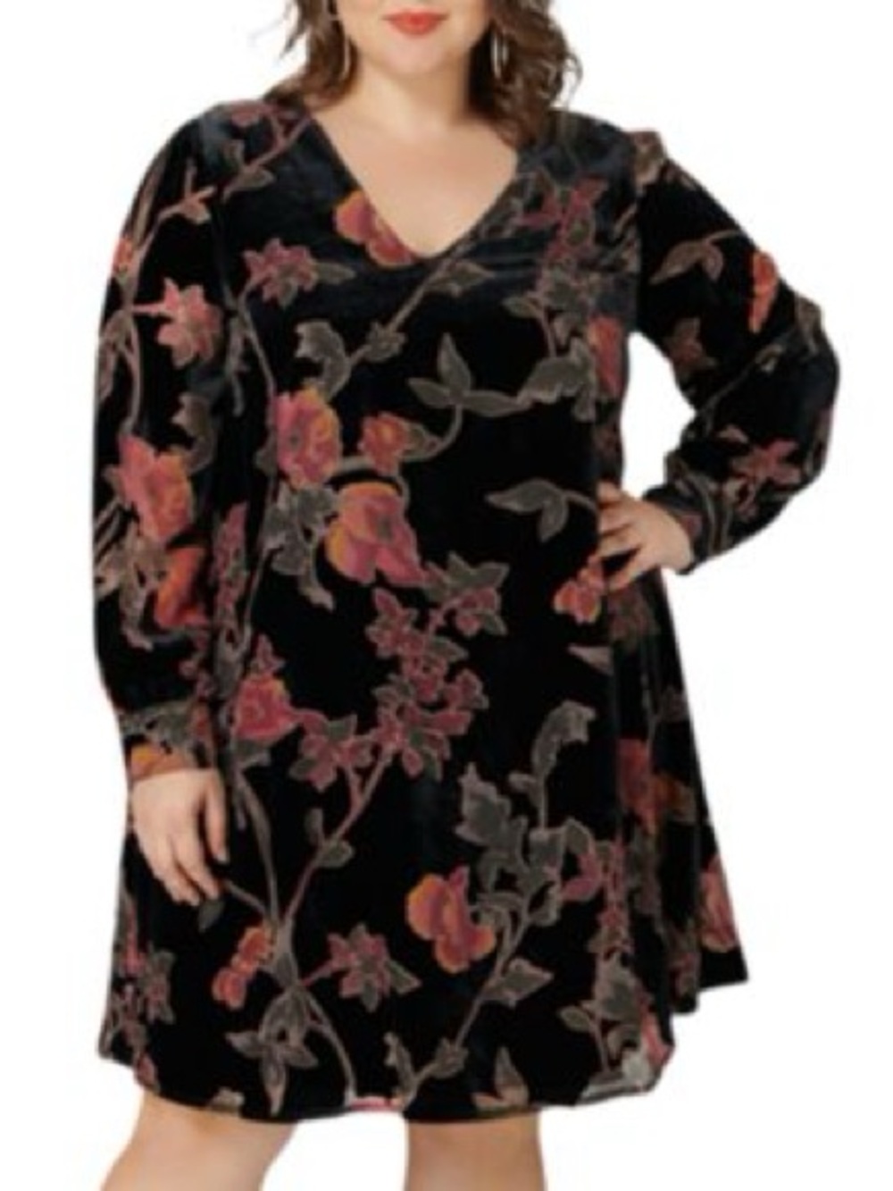 Maree Pour Toi Floral Velvet Trapeze Dress